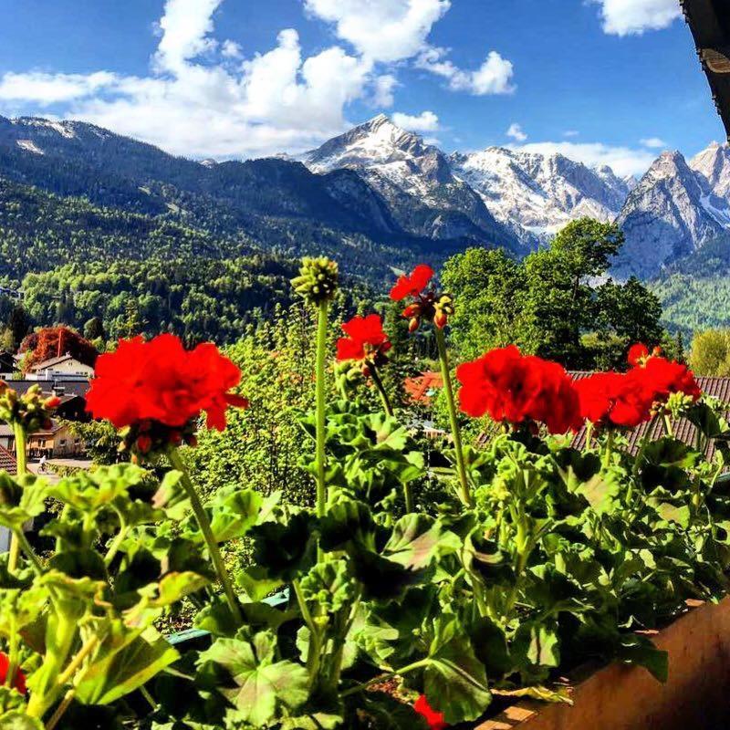 Gaestehaus Hohe Tannen Hotel Garmisch-Partenkirchen Eksteriør billede